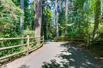 Beautiful woodland views